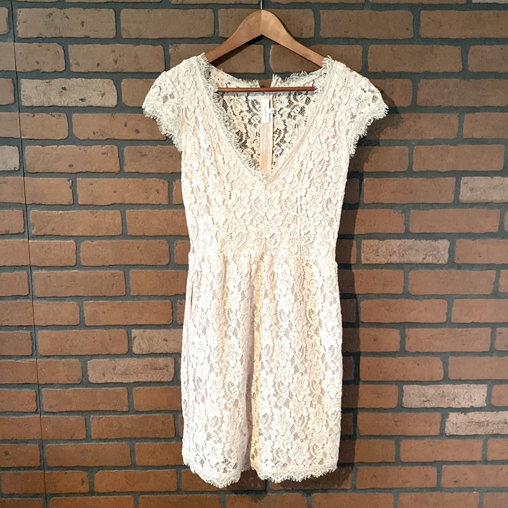 Aritzia Babaton Lace Dress size 0